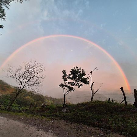 Glamping Monteverde Dış mekan fotoğraf