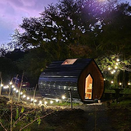 Glamping Monteverde Dış mekan fotoğraf