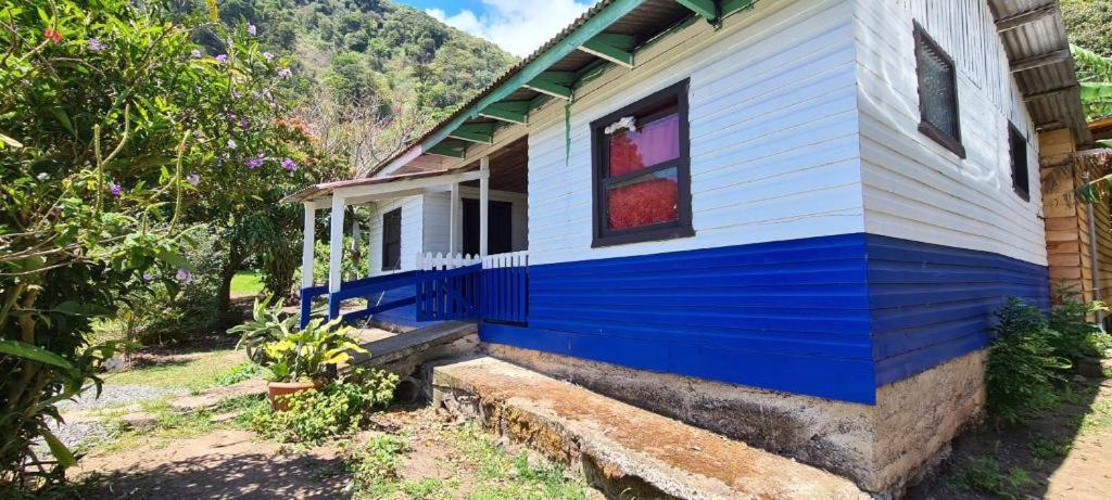 Glamping Monteverde Dış mekan fotoğraf