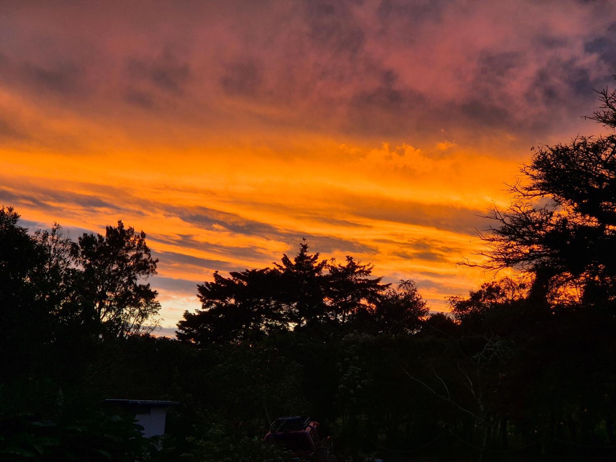 Glamping Monteverde Dış mekan fotoğraf