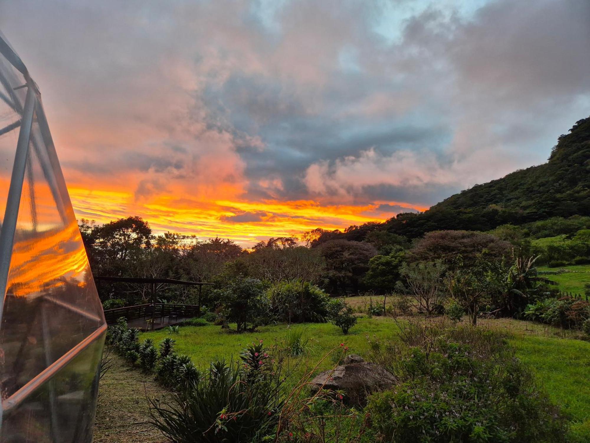 Glamping Monteverde Dış mekan fotoğraf