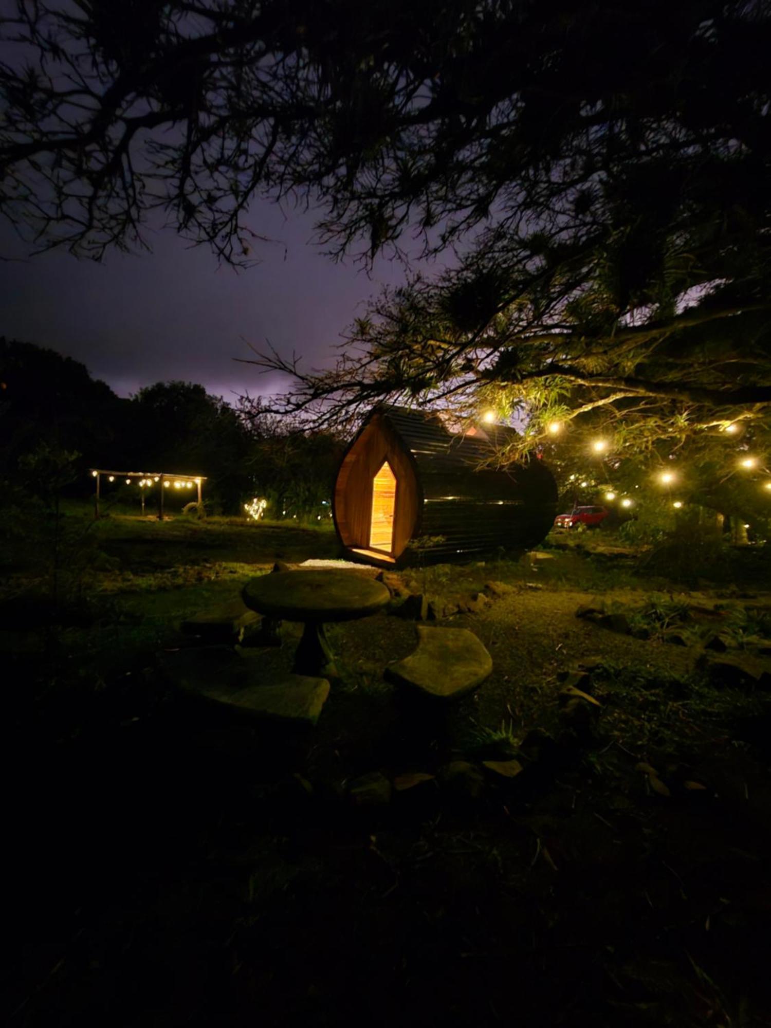 Glamping Monteverde Dış mekan fotoğraf