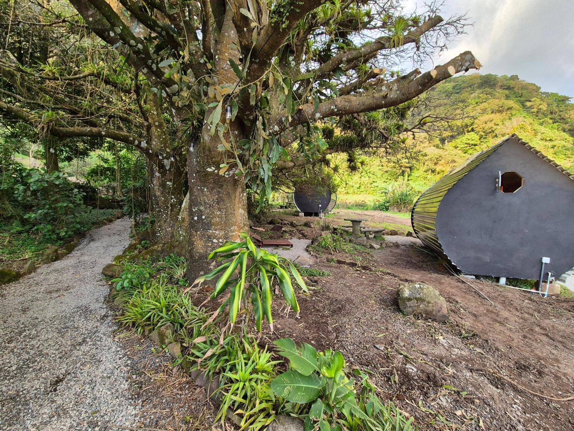 Glamping Monteverde Dış mekan fotoğraf